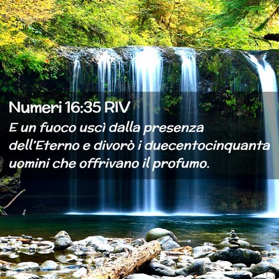 Picture 02 - Numeri 16:35 RIV - E un fuoco uscì dalla presenza dell’Eterno e - Bible Verse Picture