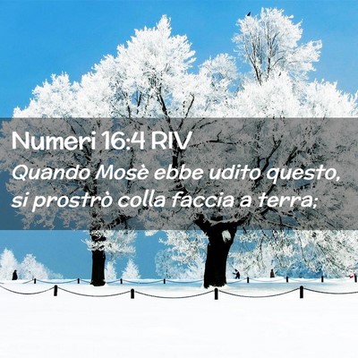Picture 02 - Numeri 16:4 RIV - Quando Mosè ebbe udito questo, si prostrò colla - Bible Verse Picture