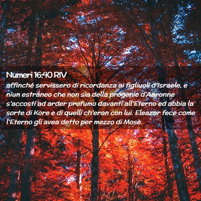 Picture 02 - Numeri 16:40 RIV - affinché servissero di ricordanza ai figliuoli - Bible Verse Picture