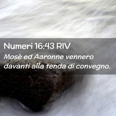 Picture 02 - Numeri 16:43 RIV - Mosè ed Aaronne vennero davanti alla tenda di - Bible Verse Picture
