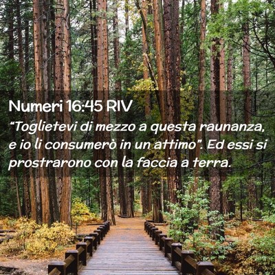 Picture 02 - Numeri 16:45 RIV - “Toglietevi di mezzo a questa raunanza, e io li - Bible Verse Picture