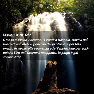 Picture 02 - Numeri 16:46 RIV - E Mosè disse ad Aaronne: “Prendi il turibolo, - Bible Verse Picture