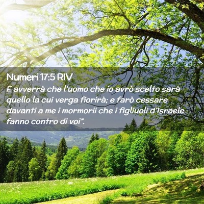Picture 02 - Numeri 17:5 RIV - E avverrà che l’uomo che io avrò scelto sarà - Bible Verse Picture