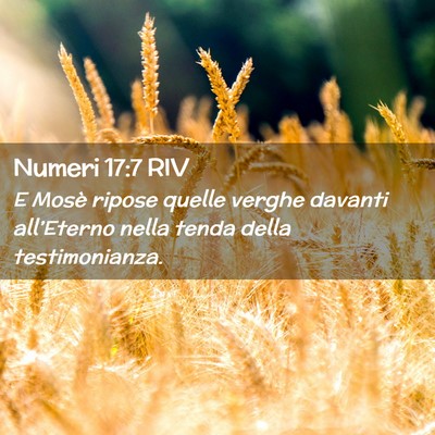 Picture 02 - Numeri 17:7 RIV - E Mosè ripose quelle verghe davanti all’Eterno - Bible Verse Picture