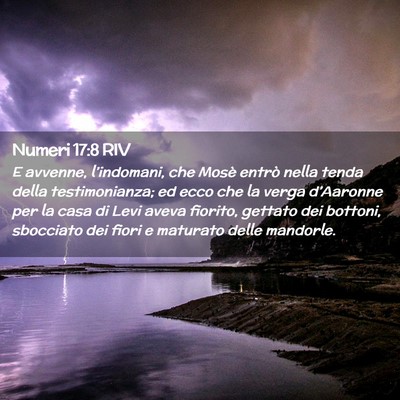 Picture 02 - Numeri 17:8 RIV - E avvenne, l’indomani, che Mosè entrò nella - Bible Verse Picture