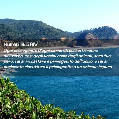 Picture 02 - Numeri 18:15 RIV - Ogni primogenito d’ogni carne ch’essi - Bible Verse Picture
