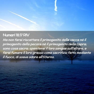Picture 02 - Numeri 18:17 RIV - Ma non farai riscattare il primogenito della - Bible Verse Picture