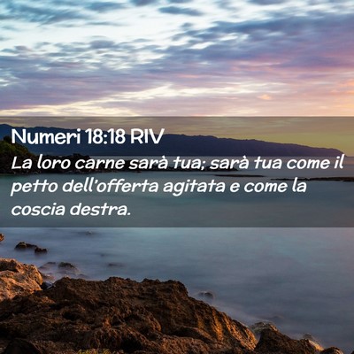 Picture 02 - Numeri 18:18 RIV - La loro carne sarà tua; sarà tua come il petto - Bible Verse Picture