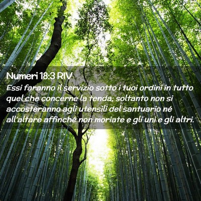Picture 02 - Numeri 18:3 RIV - Essi faranno il servizio sotto i tuoi ordini in - Bible Verse Picture
