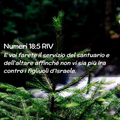 Picture 02 - Numeri 18:5 RIV - E voi farete il servizio del santuario e - Bible Verse Picture