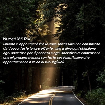 Picture 02 - Numeri 18:9 RIV - Questo ti apparterrà fra le cose santissime non - Bible Verse Picture