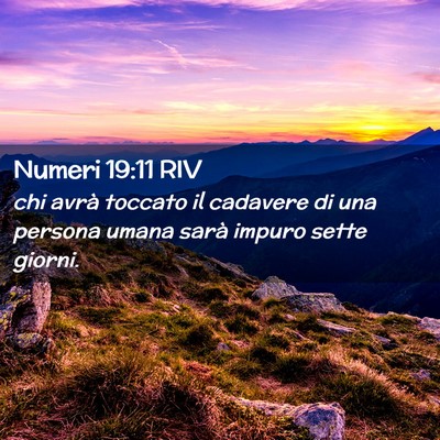 Picture 02 - Numeri 19:11 RIV - chi avrà toccato il cadavere di una persona - Bible Verse Picture