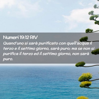Picture 02 - Numeri 19:12 RIV - Quand’uno si sarà purificato con quell’acqua - Bible Verse Picture