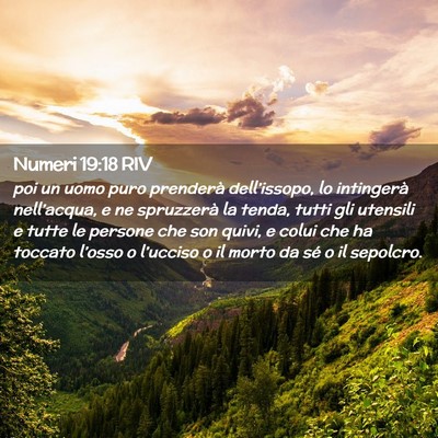 Picture 02 - Numeri 19:18 RIV - poi un uomo puro prenderà dell’issopo, lo - Bible Verse Picture