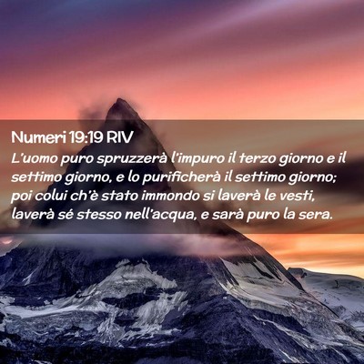 Picture 02 - Numeri 19:19 RIV - L’uomo puro spruzzerà l’impuro il terzo - Bible Verse Picture