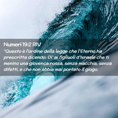 Picture 02 - Numeri 19:2 RIV - “Questo è l’ordine della legge che - Bible Verse Picture