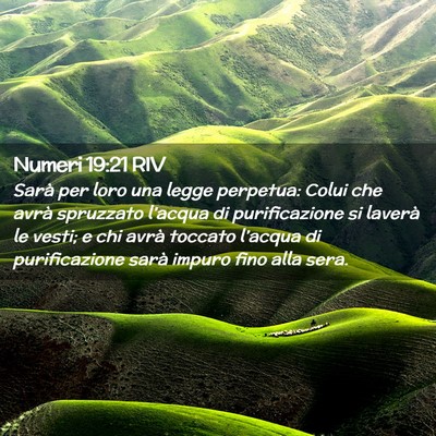 Picture 02 - Numeri 19:21 RIV - Sarà per loro una legge perpetua: Colui che - Bible Verse Picture