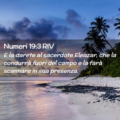Picture 02 - Numeri 19:3 RIV - E la darete al sacerdote Eleazar, che la - Bible Verse Picture
