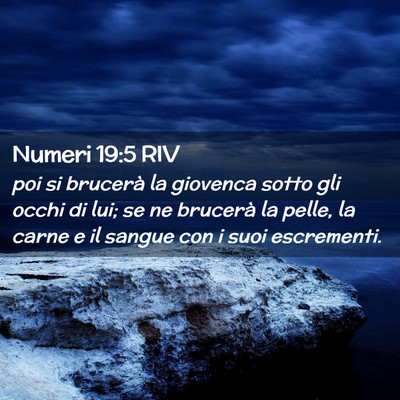 Picture 02 - Numeri 19:5 RIV - poi si brucerà la giovenca sotto gli occhi di - Bible Verse Picture