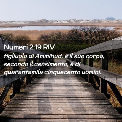 Picture 02 - Numeri 2:19 RIV - figliuolo di Ammihud, e il suo corpo, secondo il - Bible Verse Picture