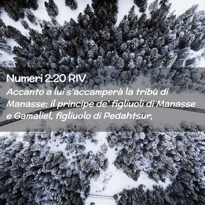 Picture 02 - Numeri 2:20 RIV - Accanto a lui s’accamperà la tribù di - Bible Verse Picture