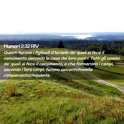 Picture 02 - Numeri 2:32 RIV - Questi furono i figliuoli d’Israele de’ quali - Bible Verse Picture