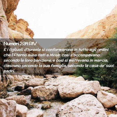 Picture 02 - Numeri 2:34 RIV - E i figliuoli d’Israele si conformarono in - Bible Verse Picture