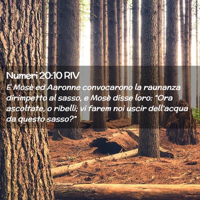 Picture 02 - Numeri 20:10 RIV - E Mosè ed Aaronne convocarono la raunanza - Bible Verse Picture