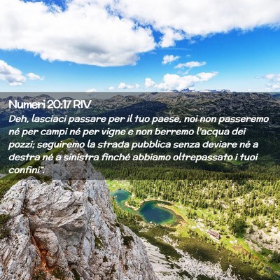 Picture 02 - Numeri 20:17 RIV - Deh, lasciaci passare per il tuo paese, noi non - Bible Verse Picture