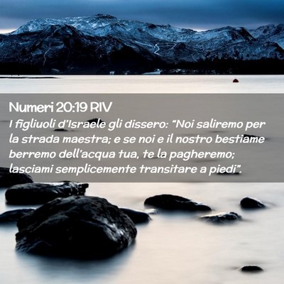 Picture 02 - Numeri 20:19 RIV - I figliuoli d’Israele gli dissero: “Noi - Bible Verse Picture