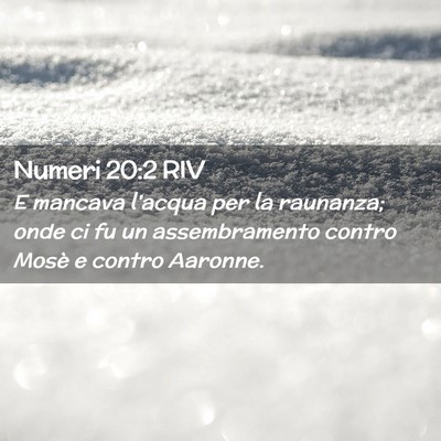 Picture 02 - Numeri 20:2 RIV - E mancava l’acqua per la raunanza; onde ci fu - Bible Verse Picture