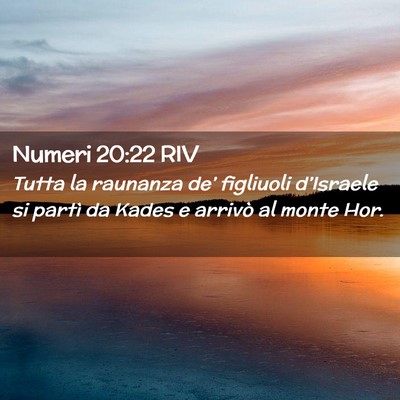 Picture 02 - Numeri 20:22 RIV - Tutta la raunanza de’ figliuoli d’Israele si - Bible Verse Picture