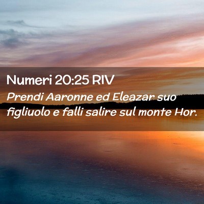 Picture 02 - Numeri 20:25 RIV - Prendi Aaronne ed Eleazar suo figliuolo e falli - Bible Verse Picture