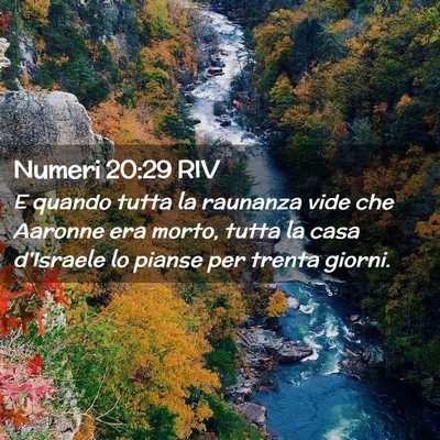 Picture 02 - Numeri 20:29 RIV - E quando tutta la raunanza vide che Aaronne era - Bible Verse Picture