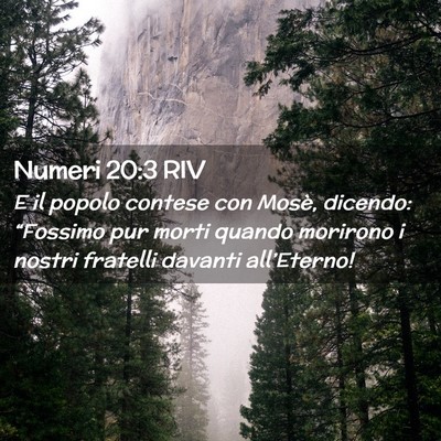 Picture 02 - Numeri 20:3 RIV - E il popolo contese con Mosè, dicendo: - Bible Verse Picture