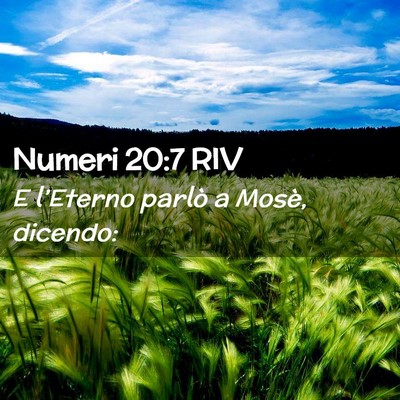 Picture 02 - Numeri 20:7 RIV - E l’Eterno parlò a Mosè, - Bible Verse Picture