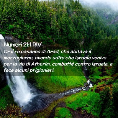 Picture 02 - Numeri 21:1 RIV - Or il re cananeo di Arad, che abitava il - Bible Verse Picture