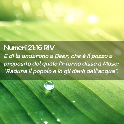 Picture 02 - Numeri 21:16 RIV - E di là andarono a Beer, che è il pozzo a - Bible Verse Picture