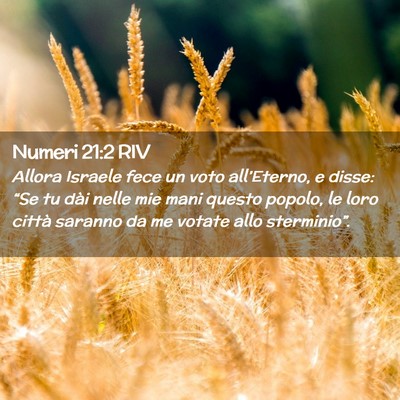 Picture 02 - Numeri 21:2 RIV - Allora Israele fece un voto all’Eterno, e - Bible Verse Picture