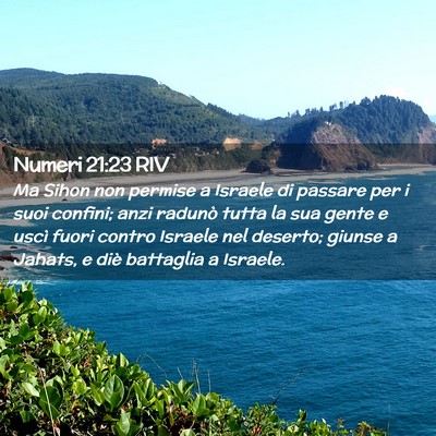 Picture 02 - Numeri 21:23 RIV - Ma Sihon non permise a Israele di passare per i - Bible Verse Picture