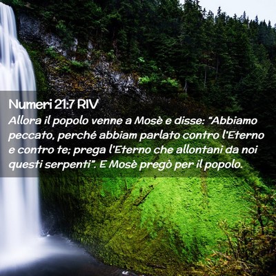 Picture 02 - Numeri 21:7 RIV - Allora il popolo venne a Mosè e disse: - Bible Verse Picture
