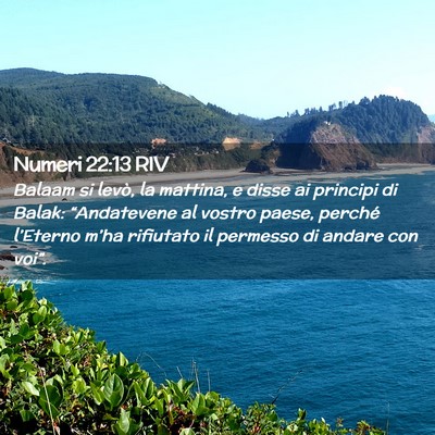 Picture 02 - Numeri 22:13 RIV - Balaam si levò, la mattina, e disse ai principi - Bible Verse Picture