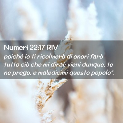 Picture 02 - Numeri 22:17 RIV - poiché io ti ricolmerò di onori farò tutto - Bible Verse Picture