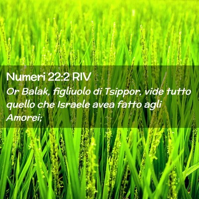 Picture 02 - Numeri 22:2 RIV - Or Balak, figliuolo di Tsippor, vide tutto quello - Bible Verse Picture