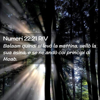 Picture 02 - Numeri 22:21 RIV - Balaam quindi si levò la mattina, sellò la sua - Bible Verse Picture