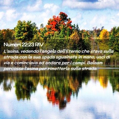 Picture 02 - Numeri 22:23 RIV - L’asina, vedendo l’angelo dell’Eterno che - Bible Verse Picture