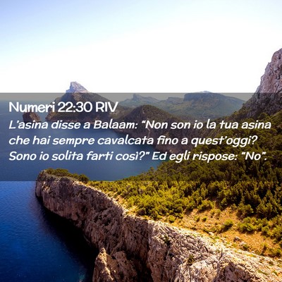 Picture 02 - Numeri 22:30 RIV - L’asina disse a Balaam: “Non son io la tua - Bible Verse Picture
