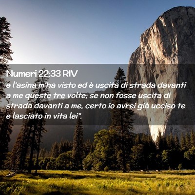 Picture 02 - Numeri 22:33 RIV - e l’asina m’ha visto ed è uscita di strada - Bible Verse Picture