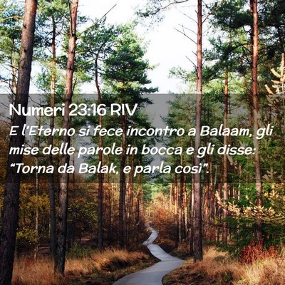 Picture 02 - Numeri 23:16 RIV - E l’Eterno si fece incontro a Balaam, gli mise - Bible Verse Picture