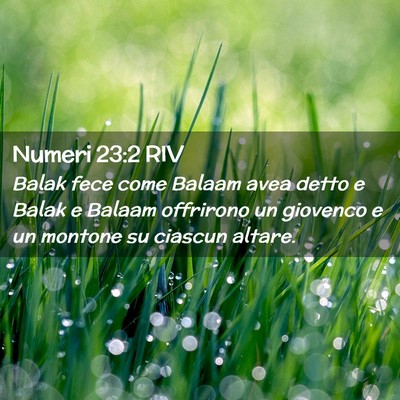 Picture 02 - Numeri 23:2 RIV - Balak fece come Balaam avea detto e Balak e - Bible Verse Picture